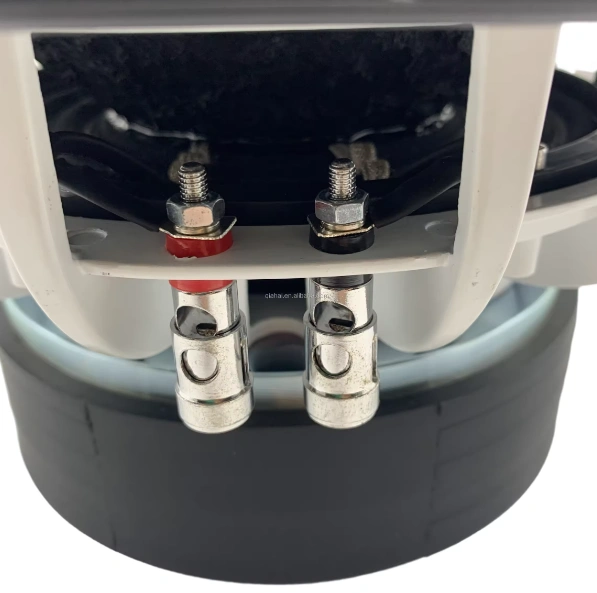 HYW-1075-038 best car subwoofer 10 inch  1200W RMS 170mm dual ferrite 3 inch voice coil for car