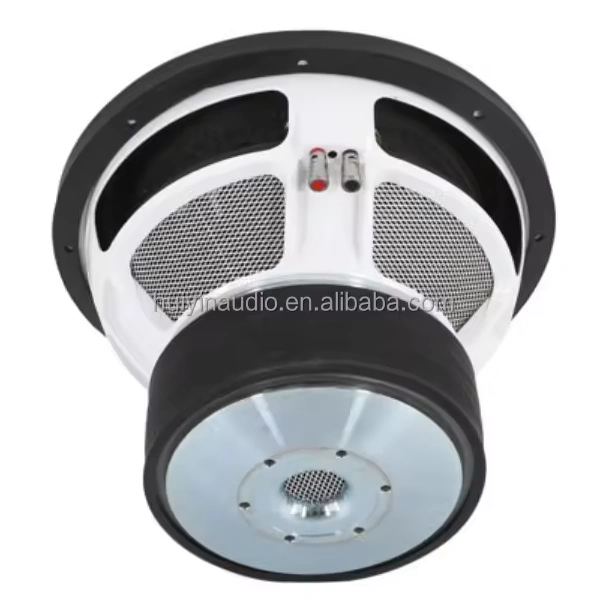 HYW-12100-010 car subwoofer speaker 12 inch  with strong power 6000w peak 4 inch voice coil 35HZ-500HZ subwoofer for car audio