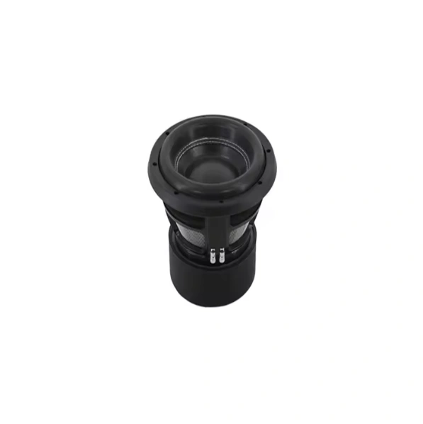HYW-1075-035 Best Car Subwoofer 10 Inch High Power  with Dual Coils 1500W AES Carbon Cone Foam Surround For Car Audio