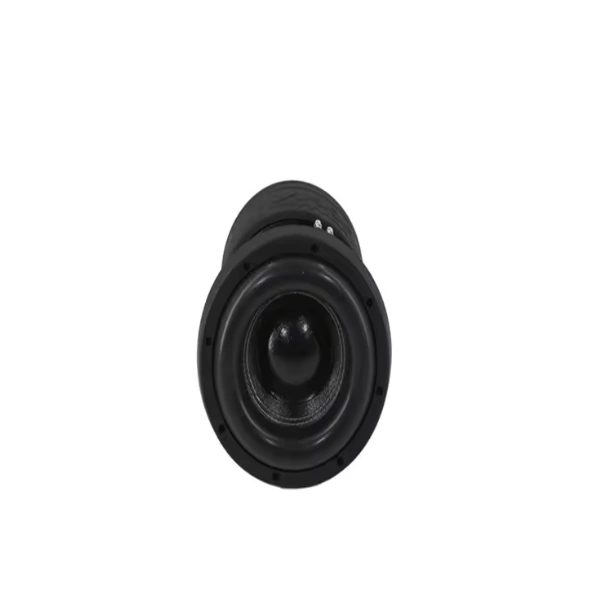 HYW-1075-035 Best Car Subwoofer 10 Inch High Power  with Dual Coils 1500W AES Carbon Cone Foam Surround For Car Audio
