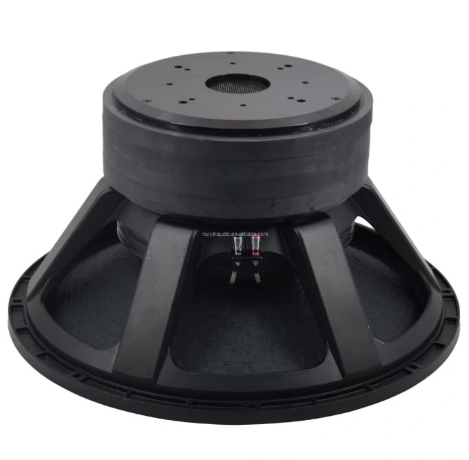 Trumbosound 24-Inch 10000W Dual Ohm Professional Subwoofer | Deep Bass Audio