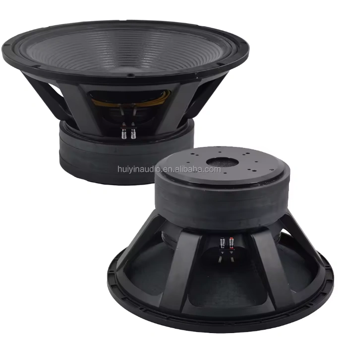 Trumbosound 24-Inch 10000W Dual Ohm Professional Subwoofer | Deep Bass Audio