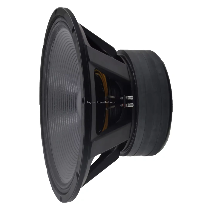 Trumbosound 24-Inch 10000W Dual Ohm Professional LF Speaker | Deep Bass Audio