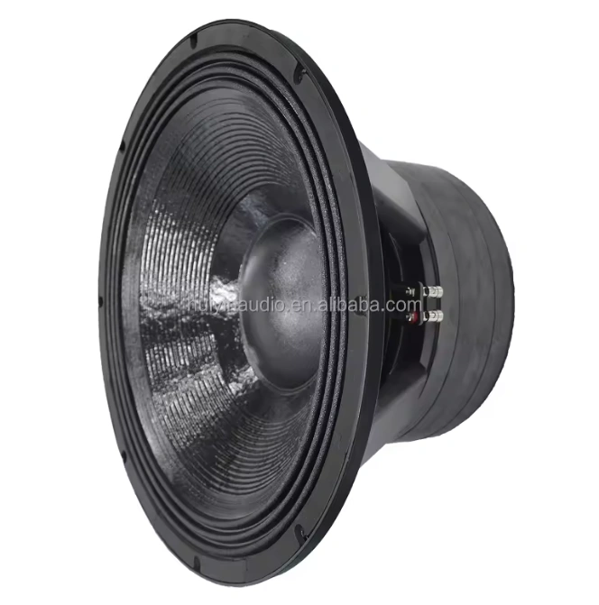 Trumbosound 21-Inch 6000W Dual Ohm Professional Subwoofer | Deep Bass Audio
