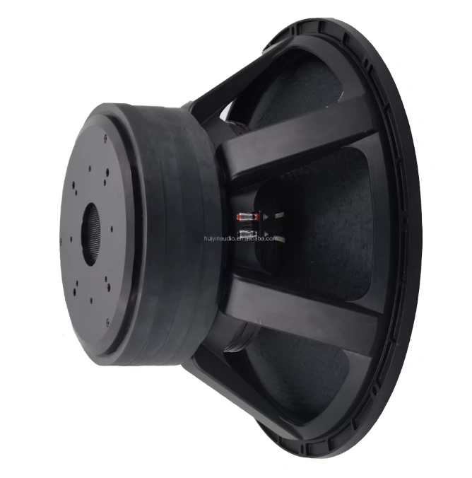 Trumbosound 24-Inch 10000W Dual Ohm Professional Subwoofer | Deep Bass Audio