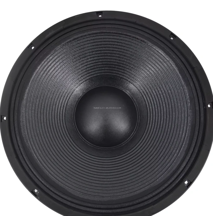 Trumbosound 24-Inch 10000W Dual Ohm Professional LF Speaker | Deep Bass Audio