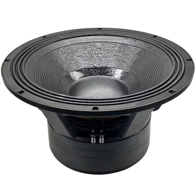 Trumbosound 21-Inch 6000W Dual Ohm Professional Subwoofer | Deep Bass Audio