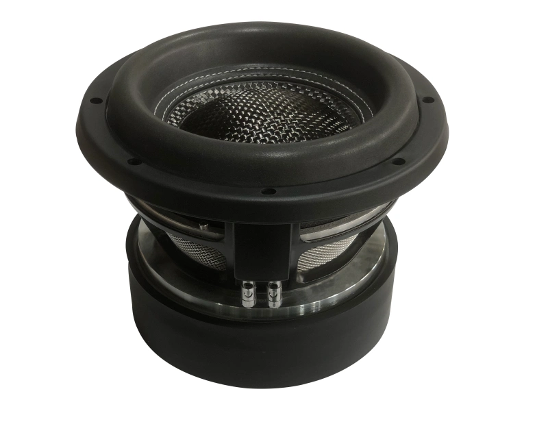 Trumbosound 10-Inch 1500W Dual Ohm Car Subwoofer | Deep Bass Audio