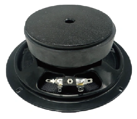 Trumbosound 10 inch Ferritet 300W Dual Midrange Speaker For Car | Midrange Audio