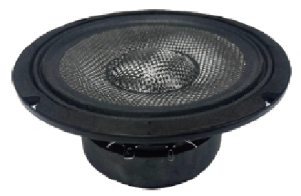 Trumbosound 10 inch Ferritet 300W Dual Midrange Speaker For Car | Midrange Audio
