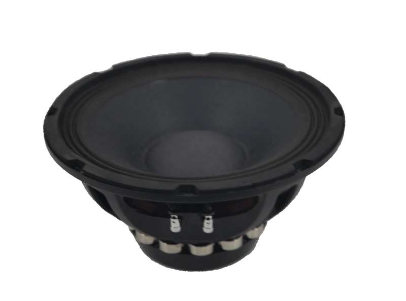 Trumbosound 10-Inch 800W Dual Ohm Neodymium Magnet Professional Subwoofer | Deep Bass Audio
