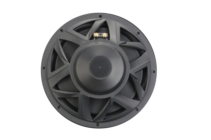 Trumbosound 10 Inch 600W RMS Dual Ohm Mid Bass Speaker For Car
