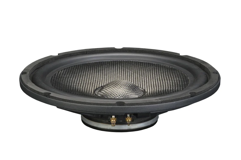 Trumbosound 10 Inch 600W RMS Dual Ohm Mid Bass Speaker For Car