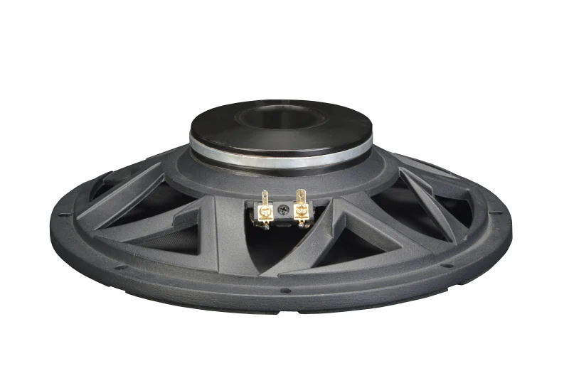 Trumbosound 10 Inch 600W RMS Dual Ohm Mid Bass Speaker For Car