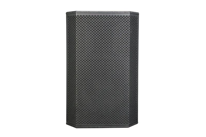 Trumbosound KP10 Single 10Inch 350W Active Best Diy Full Range Speaker