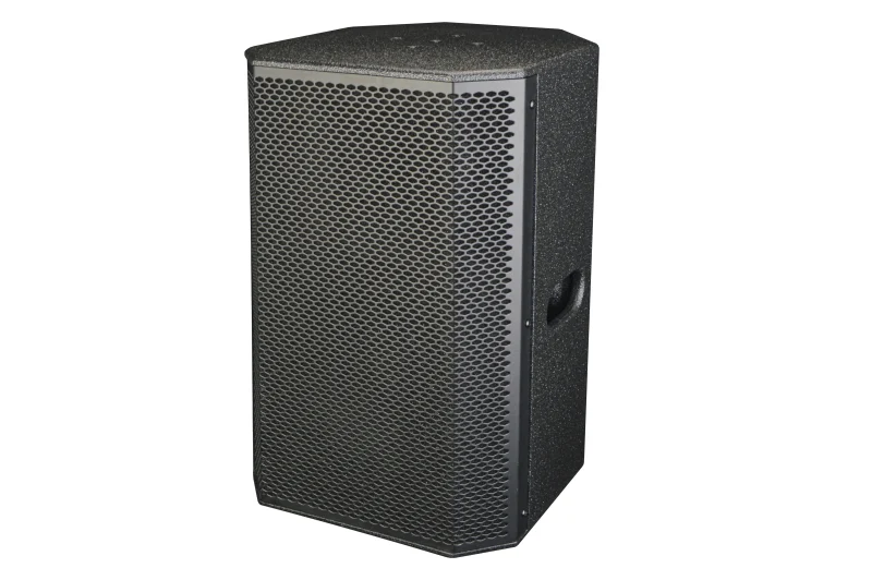 Trumbosound KP10 Single 10Inch 350W Active Best Diy Full Range Speaker