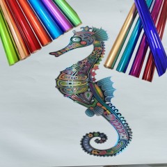 Digital Printing Hot Stamping Foil