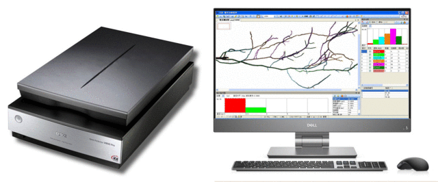 LK-1900 Root scanner System