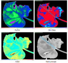 CV-100 Plant Chlorophyll Fluorescence Imaging System