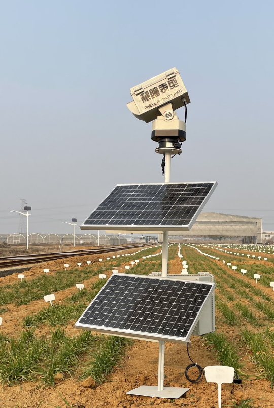 LK-1830 Phenotypic monitoring system for long time-series dynamics of crop phenology