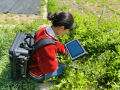 LK-1580 Compound Root Growth Dynamic Monitoring System