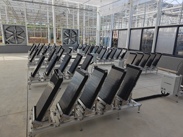 LK-1600 RhizoBox High-Throughput Root Physiology and Phenotype Continuous Measurement System