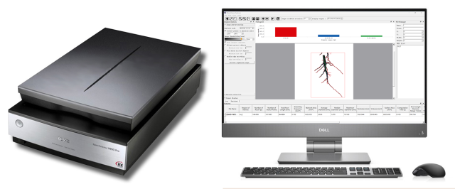 LK-1900 Root Flatbed Scanning System
