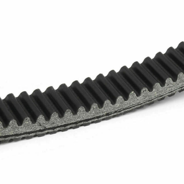 Drive Belt 3211113