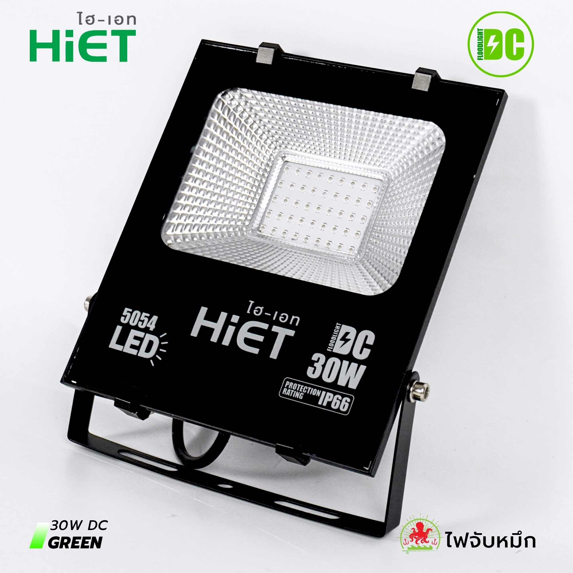 HIET LED Floodlight 30w /50W green light DC