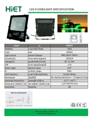 HIET LED Floodlight 30w /50W green light DC