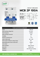 HIET Main Circuit Breaker 2P 100A