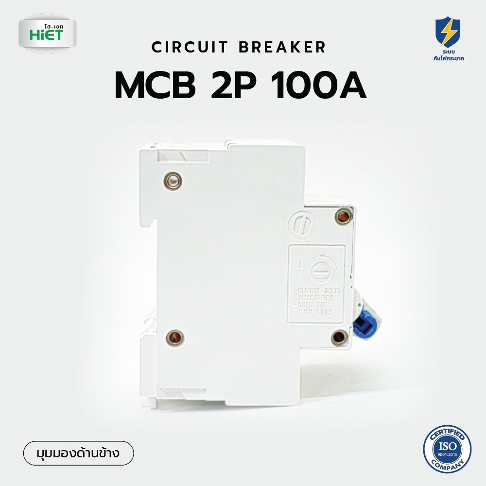 HIET Main Circuit Breaker 2P 100A