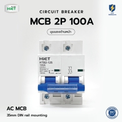 HIET Main Circuit Breaker 2P 100A