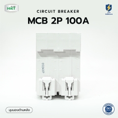 HIET Main Circuit Breaker 2P 100A