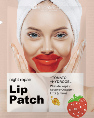 Factory OEM private label Hyaluronic Acid Anti wrinkle dead skin removal Lip gel patch