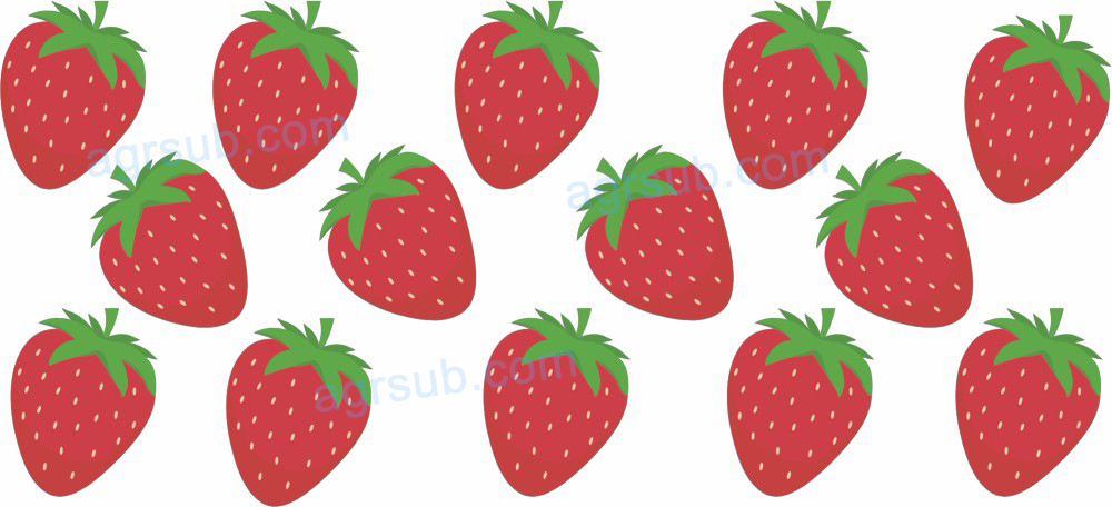 16oz UV DTF Strawberry-AF3-55