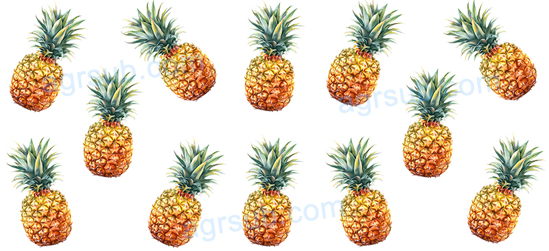 16oz UV DTF Pineapple-AF3-18