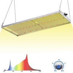 200W LED Grow Light System