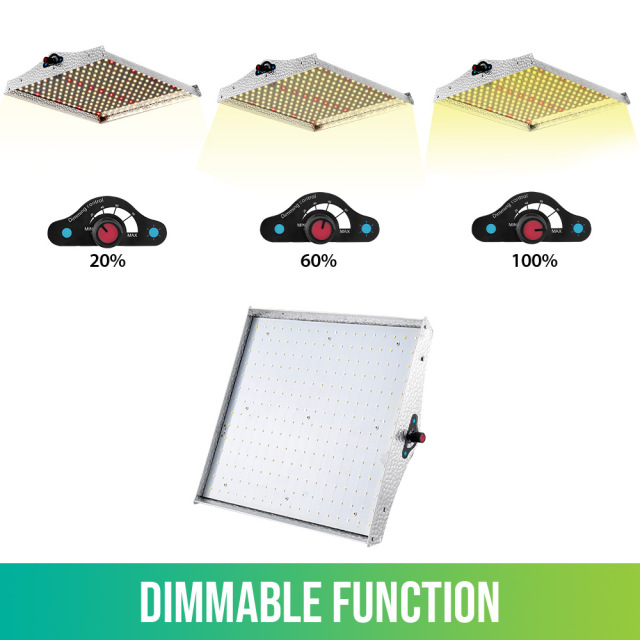 100W LED Grow Light System