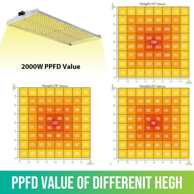 200W LED Grow Light System