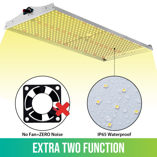 200W LED Grow Light System