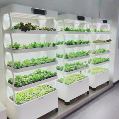 Smart NFT Grow System Smart Hydroponic System Grow Cabinet