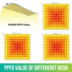 300W LED Grow Light System