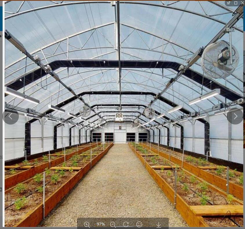 Full Spectrum 500W Greenhouse LED Grow Light