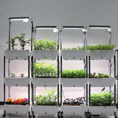 Smart Hydroponic System with LED Grow Lights - Indoor Garden Kit for Vegetables, Fruits, Flowers