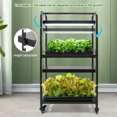 3-Tier Indoor Plant Stand with Full Spectrum LED Grow Light - For Herbs, Succulents & Seed Starting