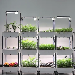 Smart Hydroponic System with LED Grow Lights - Indoor Garden Kit for Vegetables, Fruits, Flowers