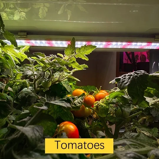 Smart Hydroponic System with LED Grow Lights - Indoor Garden Kit for Vegetables, Fruits, Flowers