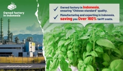 Smart Hydroponic System with LED Grow Lights - Indoor Garden Kit for Vegetables, Fruits, Flowers
