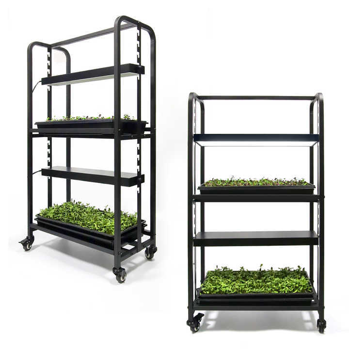 Adjustable 2-Layer Mini Greenhouse with LED Growing System Indoor Planter Garden for Microgreens and Wheatgrass Seeds